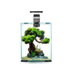 Aquael Shrimp Set Smart Day&Night 10 Black akvariumas su įranga krevetėms 10 l - nuotrauka 2
