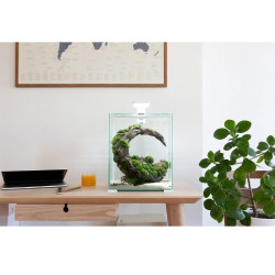 Aquael Shrimp Set Smart Day&Night 30 White akvariumas su įranga krevetėms 30 l - nuotrauka 3