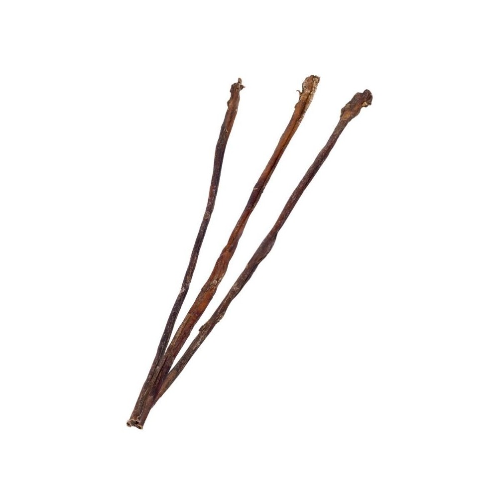 skanestas-sunims-jaucio-penis-70-cm-10-vnt-akvazoo-lt skanestas-sunims-jaucio-penis-70-cm-10-vnt-akvazoo-lt