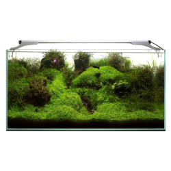 Apšvietimas akvariumui Leddy Slim Link 36 W - nuotrauka 3