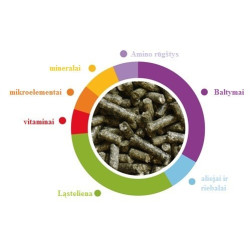 Maistas jauniems dekoratyviniams triušiams Wellness Young Dwarf Rabbits 2x1 kg - nuotrauka 3