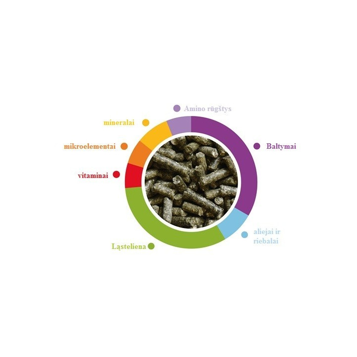 wellness-young-dwarf-rabbits-pasaras-jauniems-dekoratyviniams-triusiams-2x1-kg-akvazoo-lt