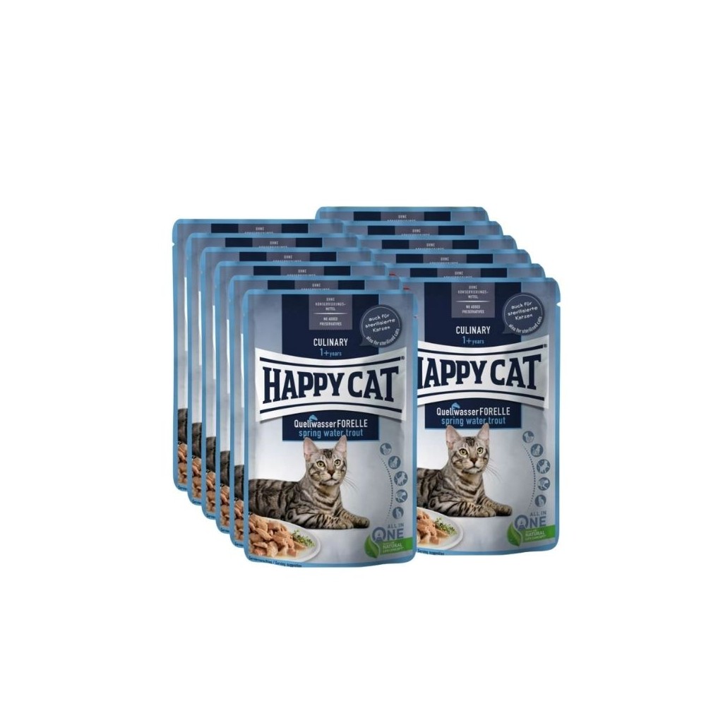 happy-cat-guliasas-katems-su-upetakiu-culinary-quaellwasserforelle-12x85-g-akvazoo