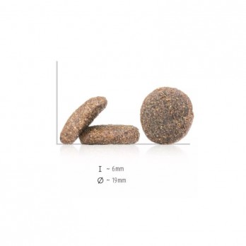 happy-dog-ireland-pasaras-suaugusiems-sunims-su-triusiena-ir-lasisa-2x4-kg-akvazoo