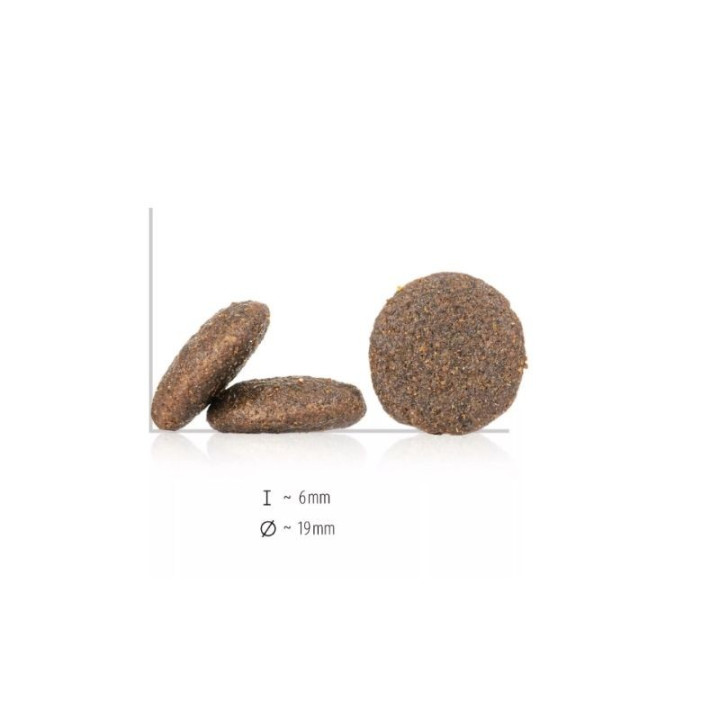 happy-dog-canada-sausas-maistas-suaugusiems-sunims-su-lasisa-triusiena-ir-eriena-2x4-kg-akvazoo