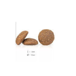 Happy Dog Greece visavertis pašaras suaugusiems šunims su ėriena, krevetėmis ir kalmarais, 2x11 kg - nuotrauka 2