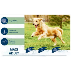 Happy Dog Maxi Adult visavertis pašaras suaugusiems didelių veislių šunims, 2x14 kg - nuotrauka 2