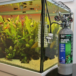 JBL ProFlora CO2 balionas 2000 M - nuotrauka 3