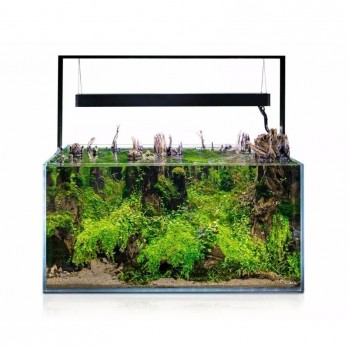aquael-ultrascape-90-forest-set-90x60x45-cm-243-l-akvazoo