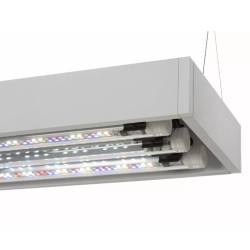Aquael Ultrascape 60 Snow Set, 60x30x36 cm, 64,8 l - nuotrauka 4
