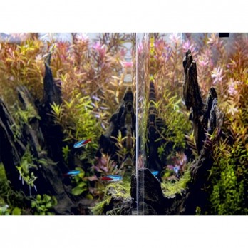 opti-bent-30-akvariumas-staciakampis-baltas-29x29x35-cm-29-l-akvazoo