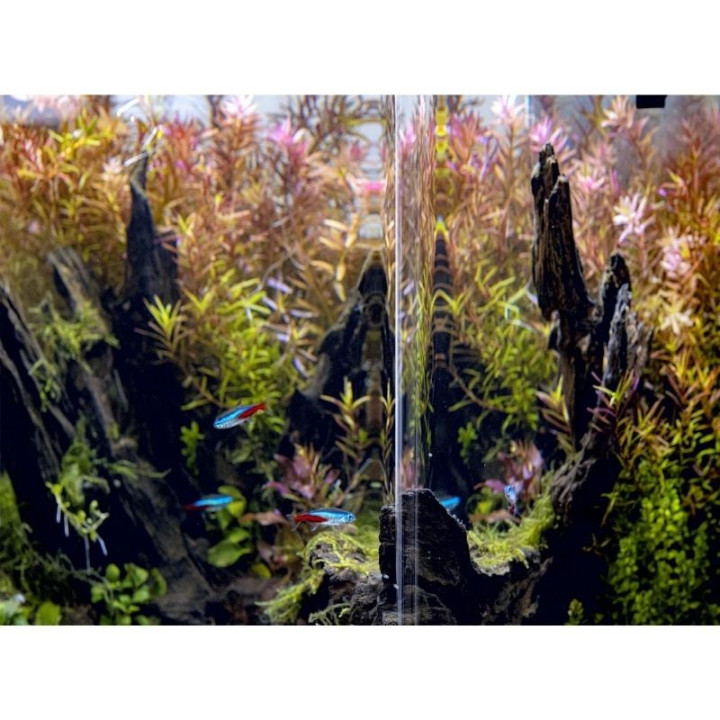 opti-bent-20-akvariumas-staciakampis-baltas-25x25x30-cm-19-l-akvazoo
