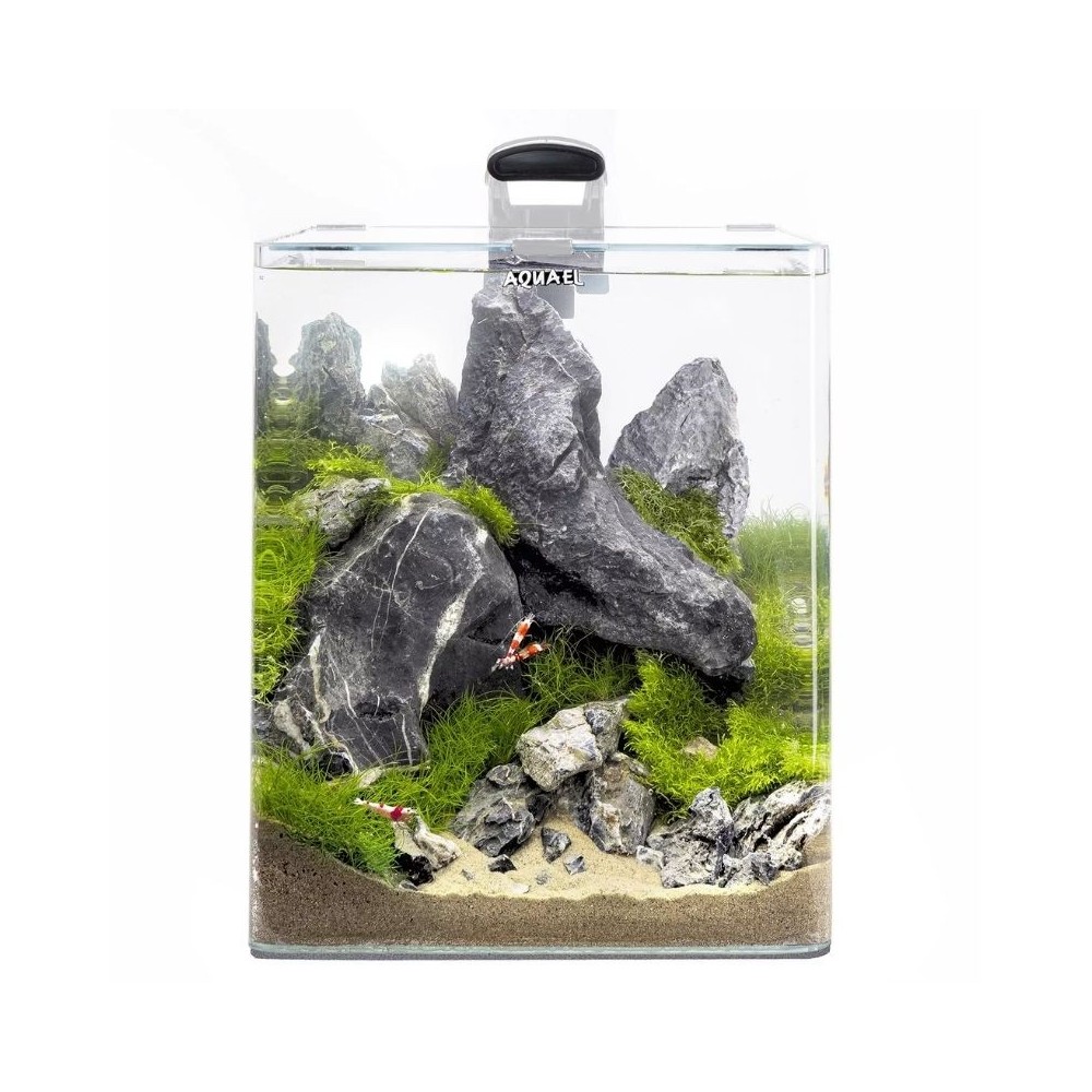 opti-bent-20-akvariumas-staciakampis-baltas-25x25x30-cm-19-l-akvazoo opti-bent-20-akvariumas-staciakampis-baltas-25x25x30-cm-19-l-akvazoo