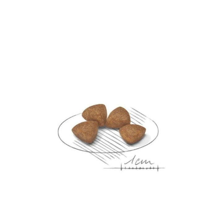 Royal-Canin-SHN-X-SMALL-Puppy-maistas-jauniems-suniukams-akvazoo-lt