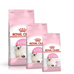 Royal Canin FHN Second Age Kitten maistas kačiukams 0,4 kg - nuotrauka 4