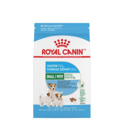 Royal Canin SHN MINI Starter maistas kalytėms ir nujunkomiems šuniukams 1 kg - nuotrauka 4