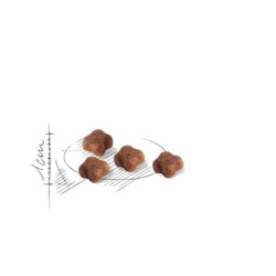 Royal Canin FHN First Age Mother and Babycat maistas maitinančioms katėms ir kačiukams 0,4 kg - nuotrauka 2