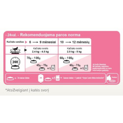 Royal Canin FHN Second Age Kitten Sterilised maistas sterilizuotiems/kastruotiems kačiukams 0,4 kg - nuotrauka 2