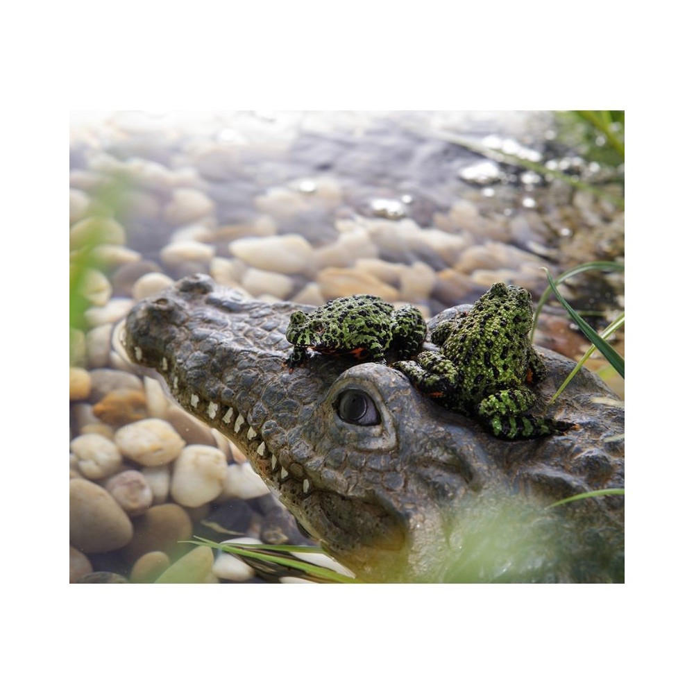 dekoracija-sala-terariumui-krokodilas-akvazoo-lt