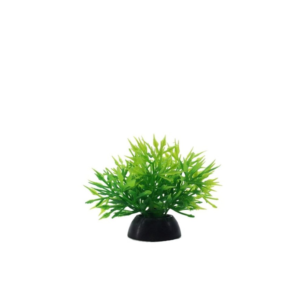 augalas-dirbtinis-5-cm-10-vnt-akvazoo-lt augalas-dirbtinis-5-cm-10-vnt-akvazoo-lt