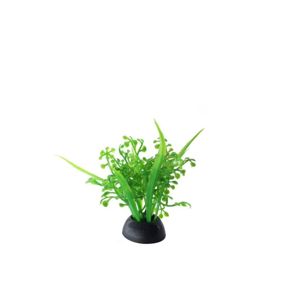 augalas-dirbtinis-5-cm-10-vnt-akvazoo-lt