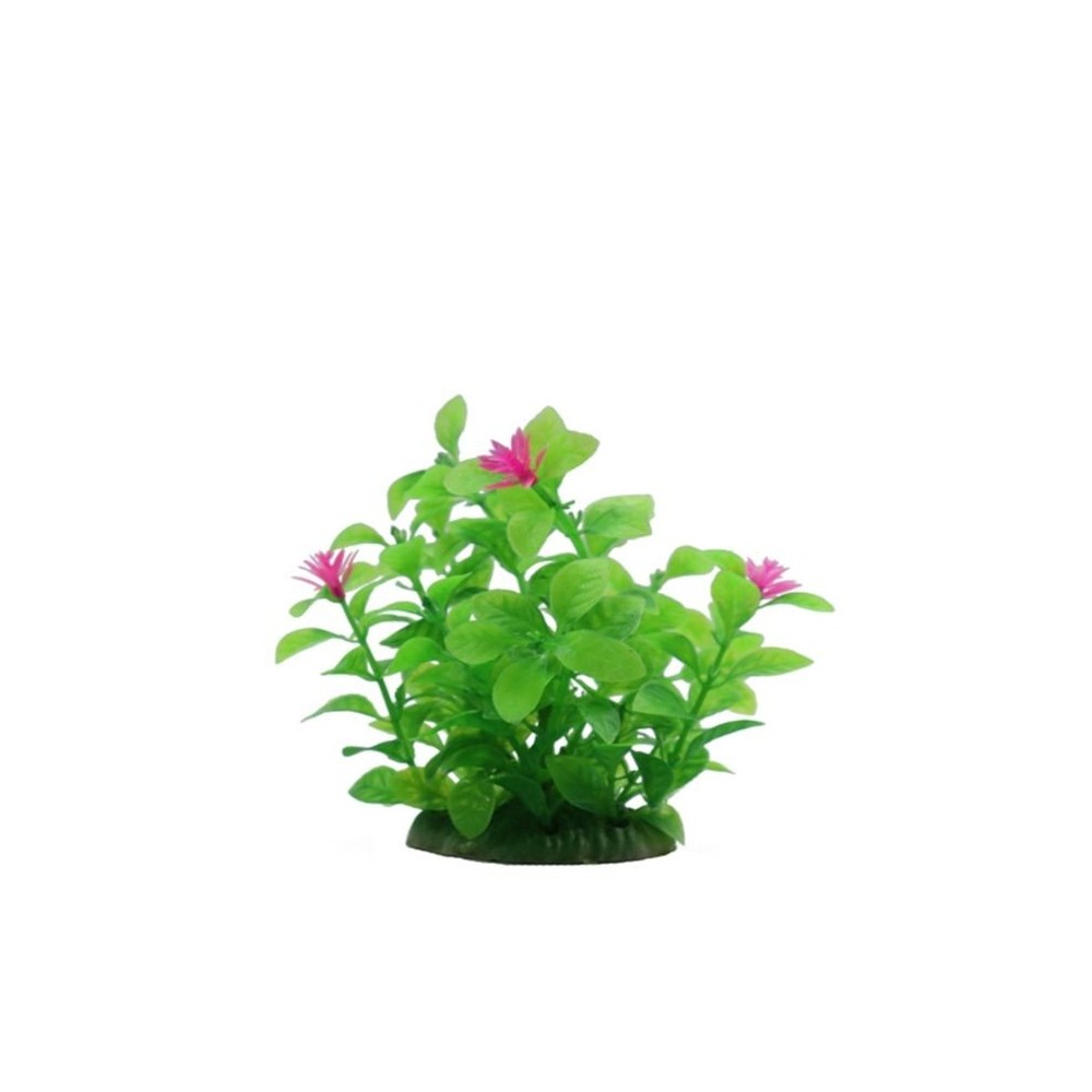augalas-dirbtinis-10-cm-6-vnt-akvazoo-lt augalas-dirbtinis-10-cm-6-vnt-akvazoo-lt