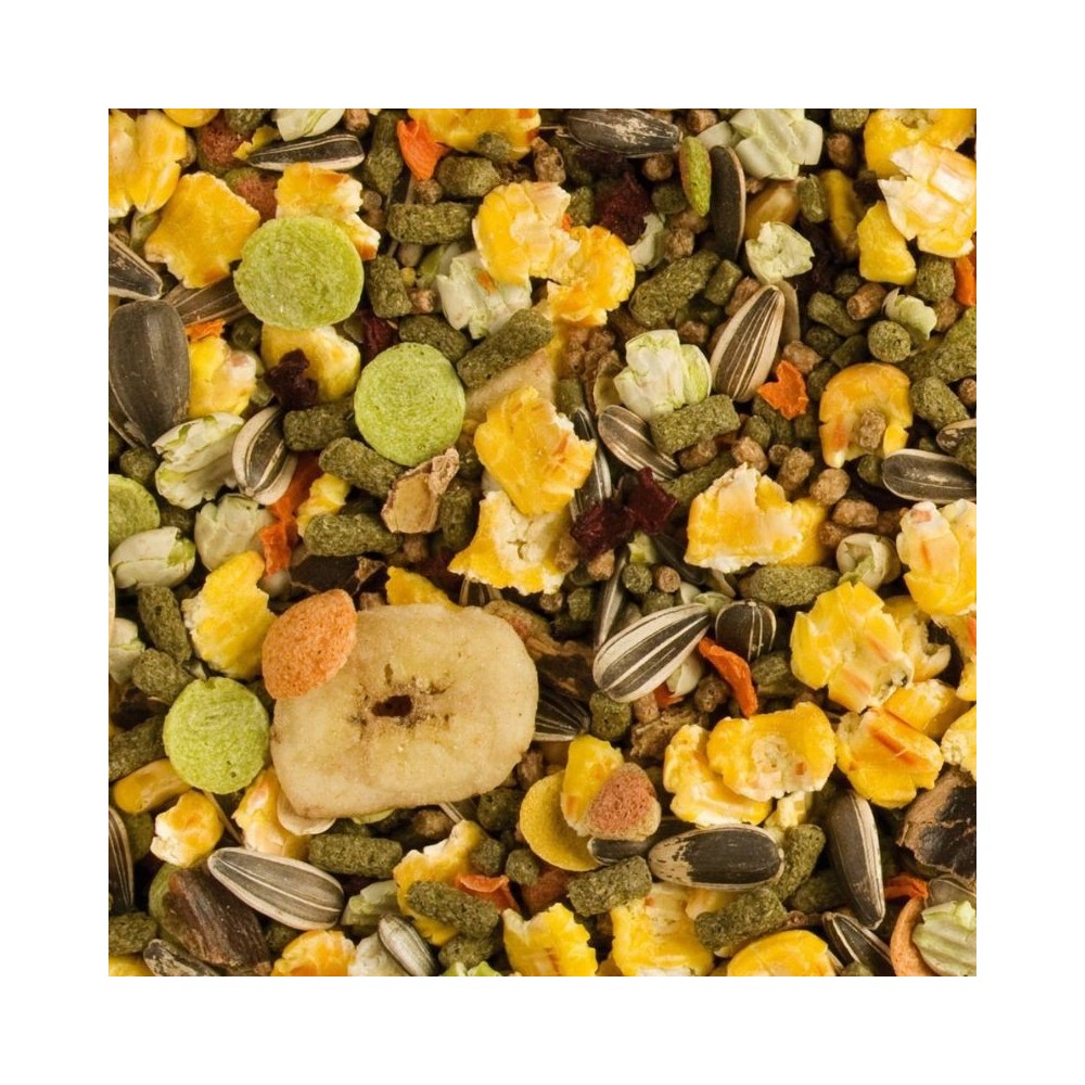 tropifit-chinchilla-pasaras-sinsiloms-2x500-g-akvazoo-lt