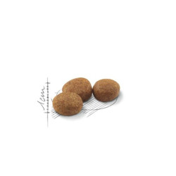 Royal Canin FHN Regular Sterilised 37 maistas sterilizuotoms suaugusioms katėms 0,4 kg - nuotrauka 2
