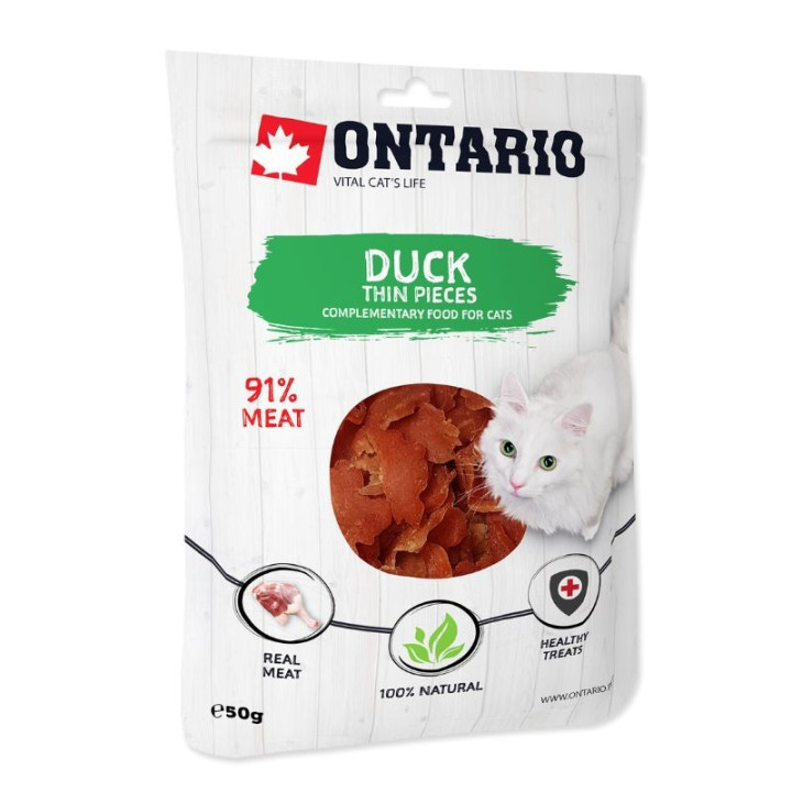 ontario-skanestas-katems-antienos-file-50-g-akvazoo-lt