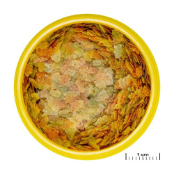 ProNovo Betta Flakes S pašaras Betta žuvims (gaideliams) 100 ml - nuotrauka 2