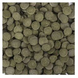 Tropical HI-Algae Discs pašaras žuvims 100 ml - nuotrauka 2
