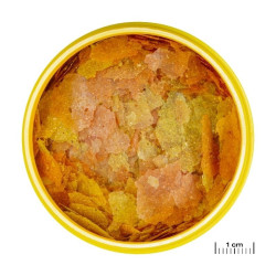 JBL ProNovo Color Flakes M universalus pašaras žuvims 250 ml - nuotrauka 2