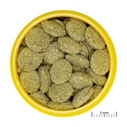 JBL ProNovo Pleco Wafer M pašaras žuvims 250 ml - nuotrauka 2