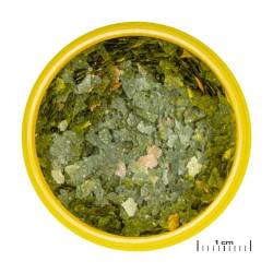JBL ProNovo Guppy Flakes S pašaras gupijoms 250 ml - nuotrauka 2