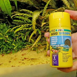 JBL ProNovo Shrimps Grano S pašaras krevetėms 100 ml (click) - nuotrauka 5