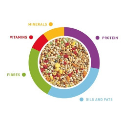 Maistas banguotoms papūgėlėms Grandmix 400 g - nuotrauka 3