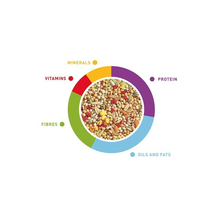 Maistas banguotoms papūgėlėms Grandmix 400 g