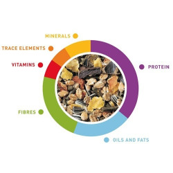 Maistas suaugusiems dekoratyviniams triušiams Grandmix 850 g - nuotrauka 3