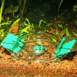 JBL LimCollect II sraigių gaudyklė - nuotrauka 2