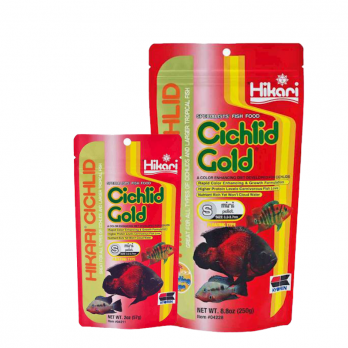 Hikari Cichlid Gold Mini maistas žuvims 57 g