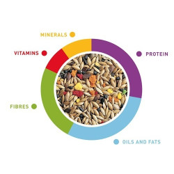 Canarini Grandmix maistas kanarėlėms 400 g - nuotrauka 3