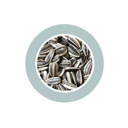 Saulėgrąžos paukščiams, graužikams, 500 g - nuotrauka 3