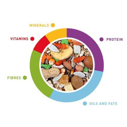 Grandmix Pappagalli maistas didžiosioms papūgoms 600 g - nuotrauka 3