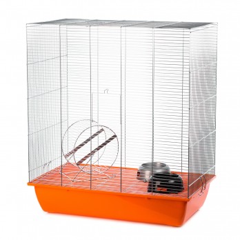 Narvas voverėms su įranga Squirrell 70