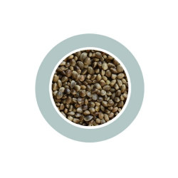 Canapuccia Small Hampseed kanapių sėklos 850 g - nuotrauka 3
