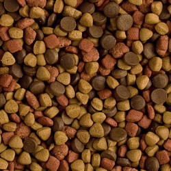 Maistas šeškams Tropifit Ferret 400 g - nuotrauka 2