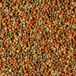 Tropical Pond Pellet Mix S maistas tvenkinių žuvims 1000 ml - nuotrauka 2