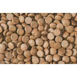 Tropical Nanovit smulkios tabletės 10 g - nuotrauka 2