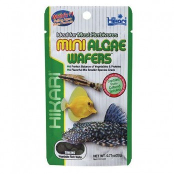Hikari Mini Algae Wafers maistas dugninėms žuvims 22 g