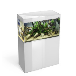 Glossy 80 spintelė stačiakampė balta su durelėmis, 80 cm - nuotrauka 2